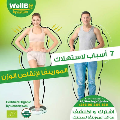Infusion de Moringa bio de Tunisie – Mincir naturellement et durablement